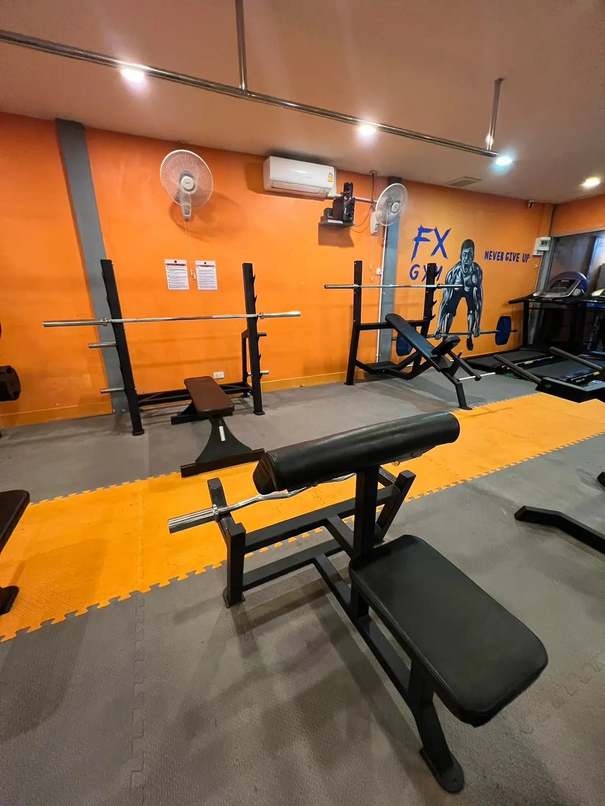 Orange wall and mats with a weight bench and a barbell rack.
