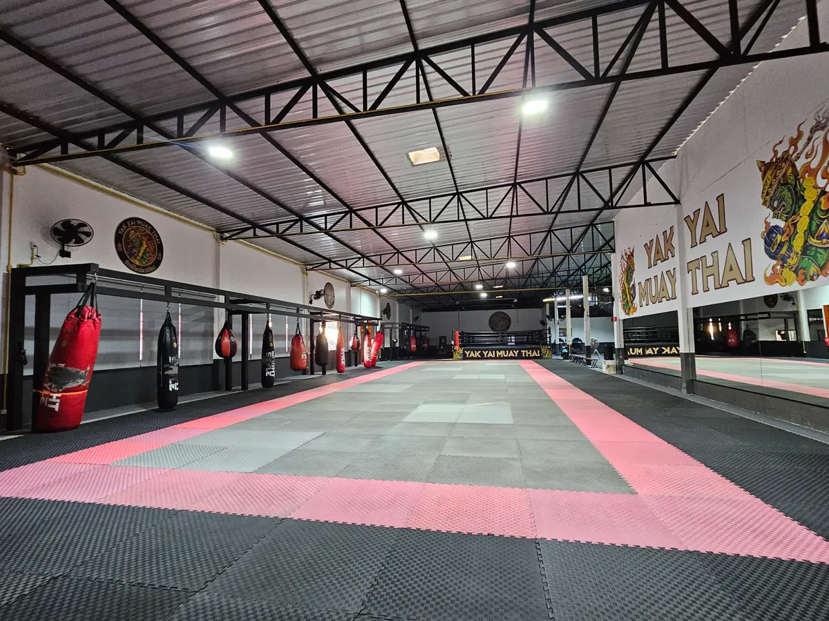 Large training hall with grey and pink mats and heavy bags along the walls.