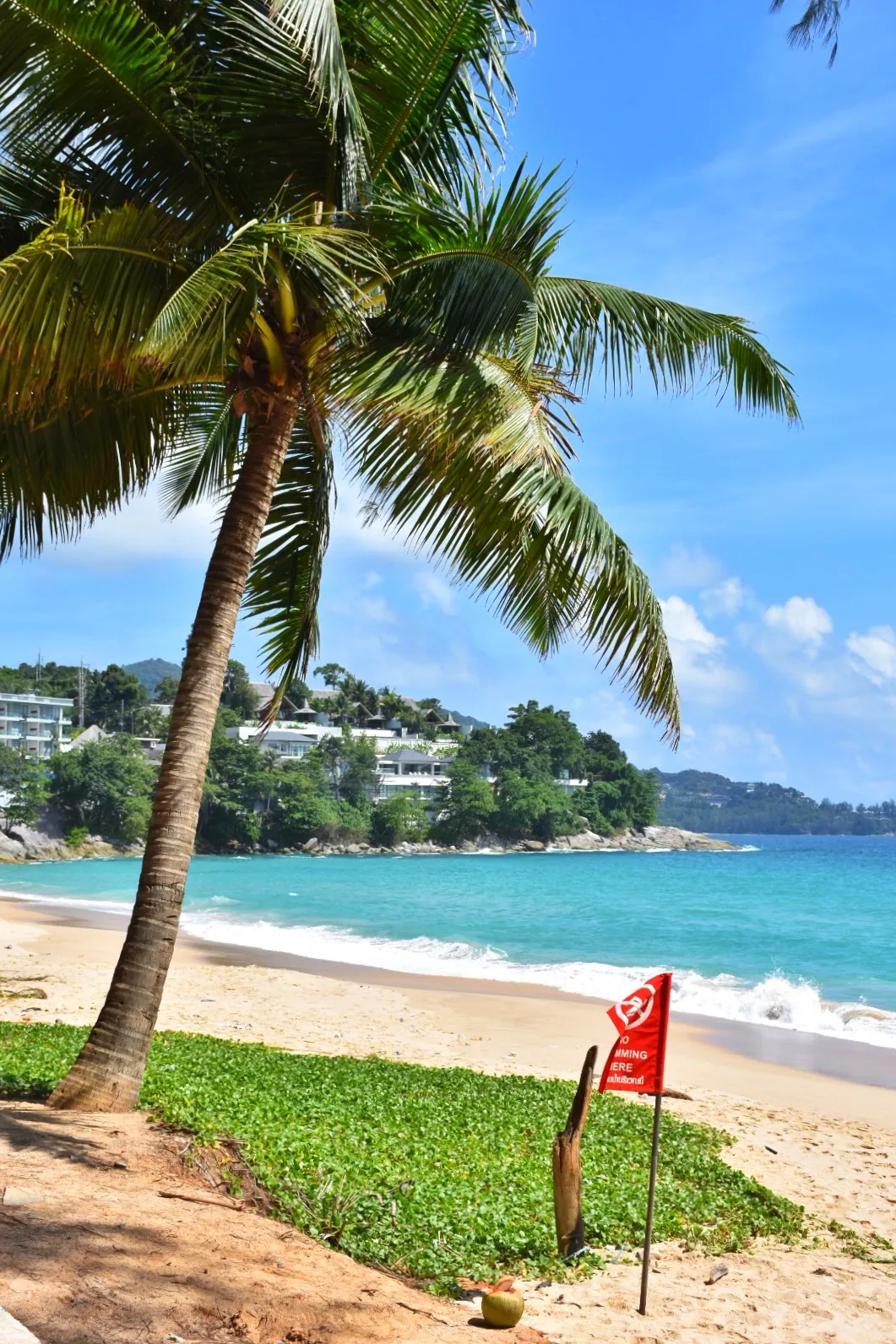 Palm tree leaning over a bright turquoise bay with a hillside of villas beyond at Surin.