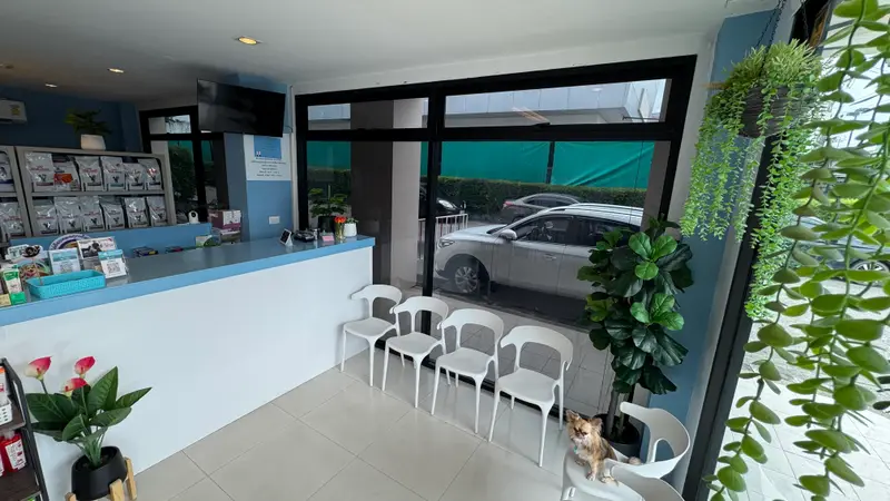 Layan Vet Clinic, photo 3