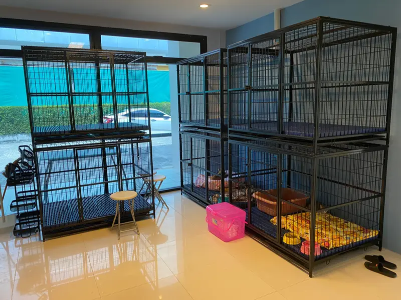 Layan Vet Clinic
