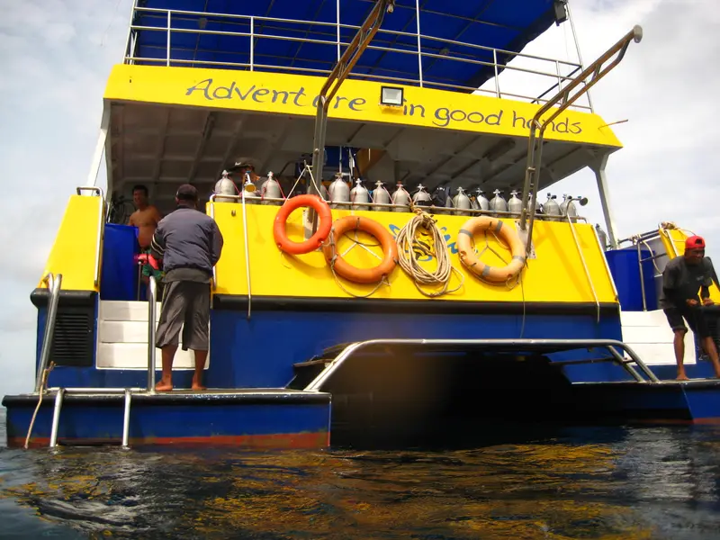 Sea Bees Diving, photo 4