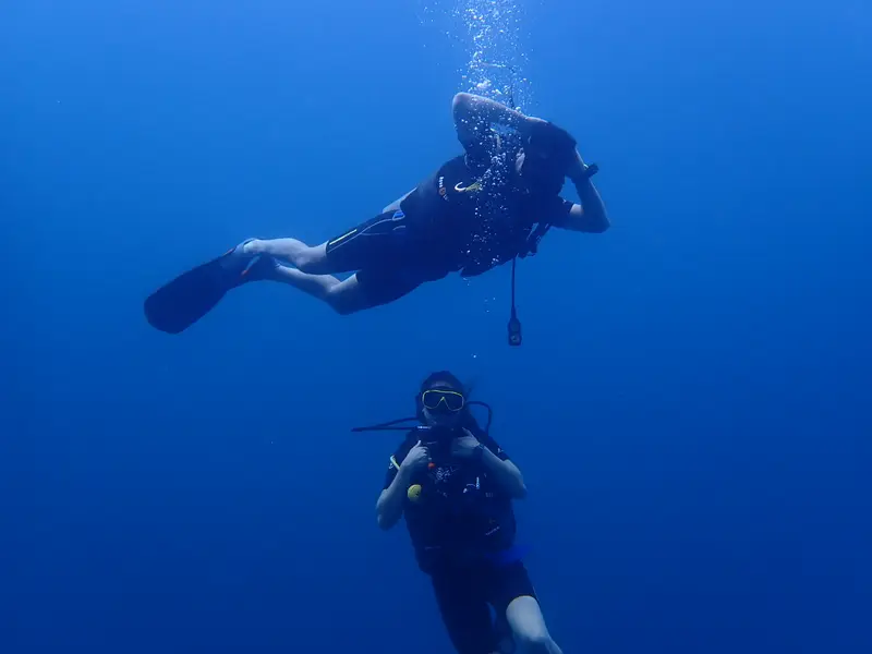 Sea Bees Diving, photo 6