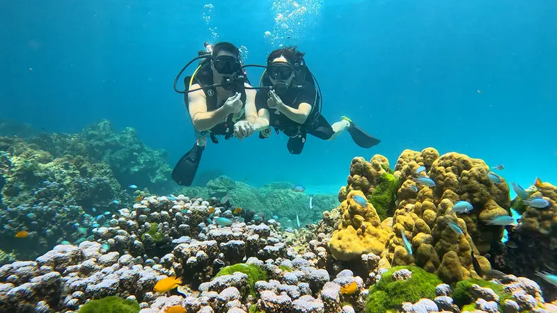 SSS Phuket Dive, Freedive & Surf, photo 2