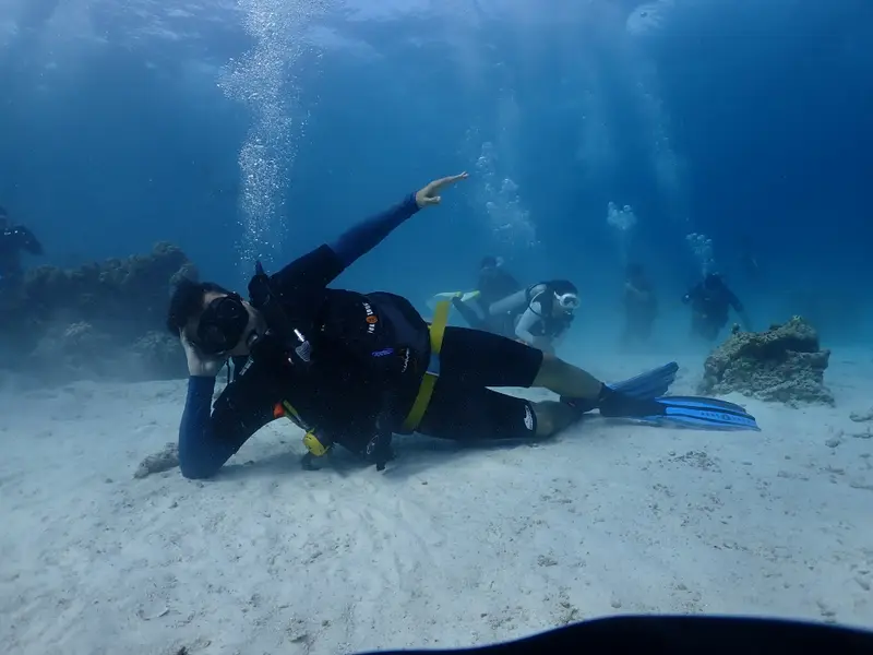 Sunrise Divers Phuket, photo 4