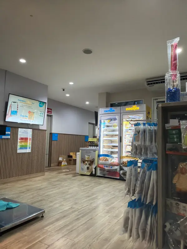 Thonglor Pet Hospital Chalong, photo 5