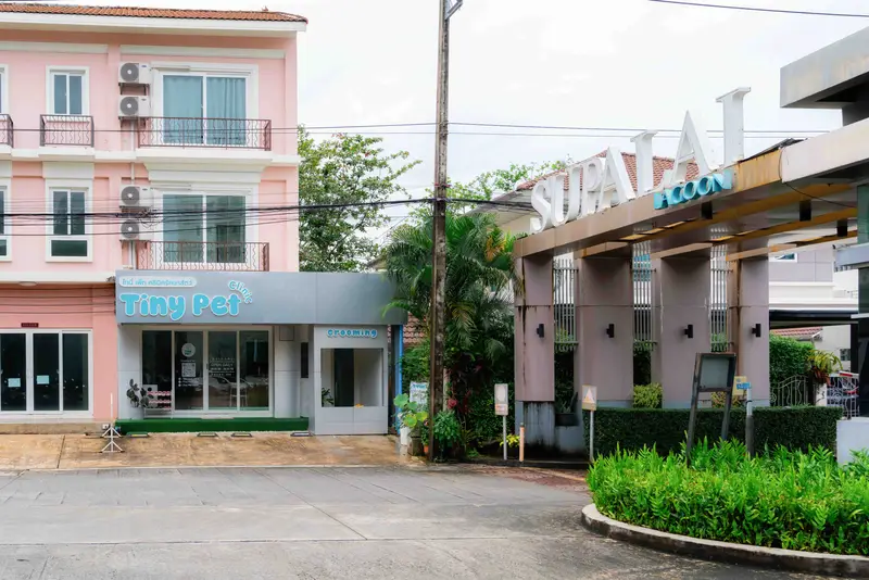 Tiny Pet Clinic, photo 2