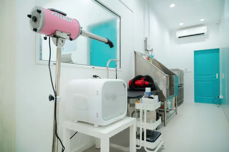 Tiny Pet Clinic, photo 4