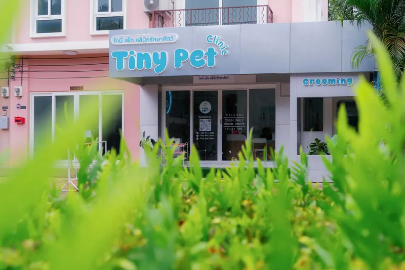 Tiny Pet Clinic
