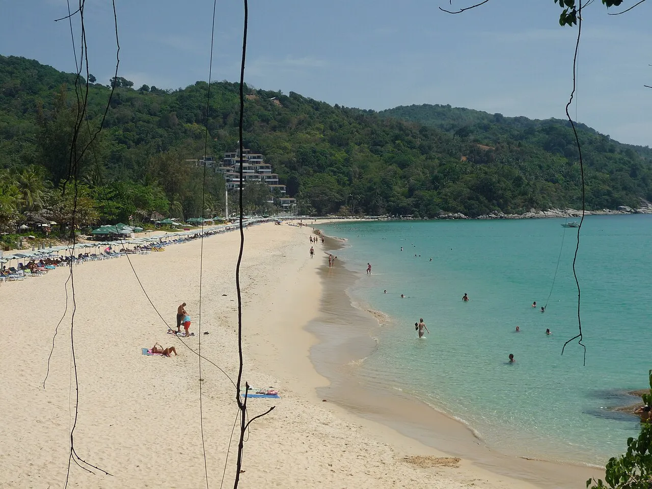 Wide curve of pale sand and turquoise water below forested hills at Kata Beach.