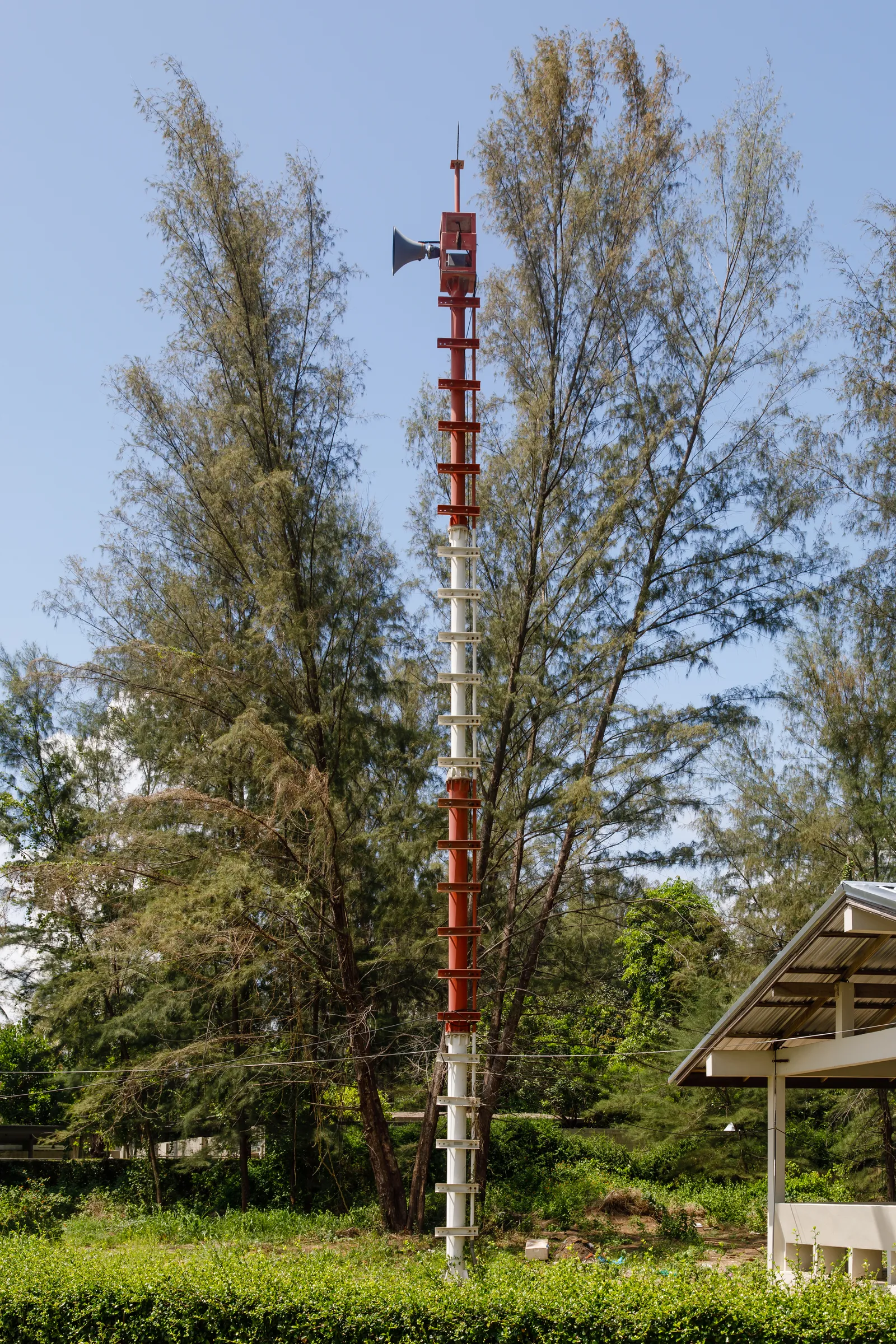 Tall red and white tsunami warning tower with a loudspeaker horn at the top, rising above casuarina trees at Mai Khao Beach.