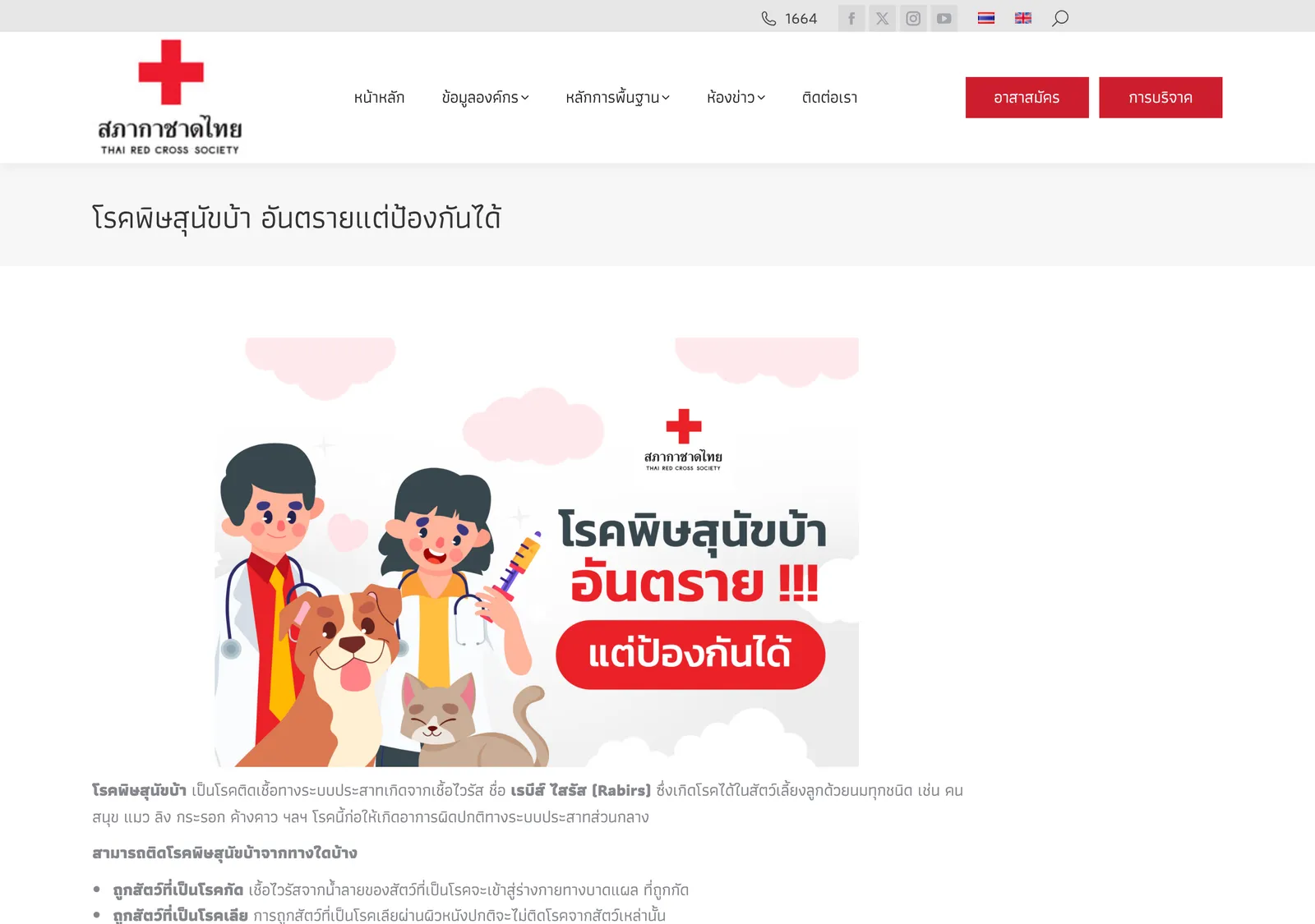 Thai Red Cross web page on rabies with a cartoon of a vet holding a syringe beside a dog and a cat above the first paragraphs of Thai text.