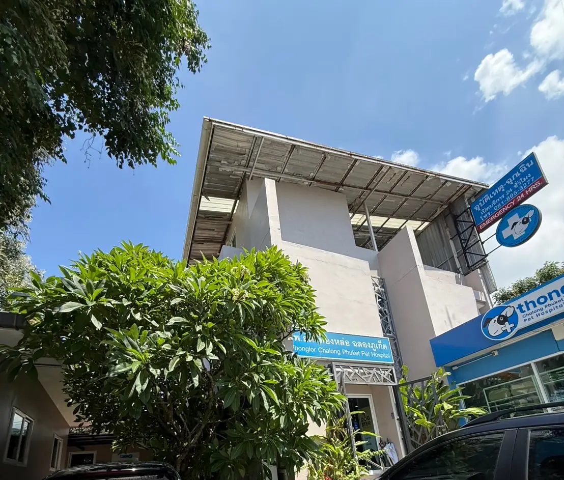 Pale building with a blue pet hospital sign among green trees under a blue sky.