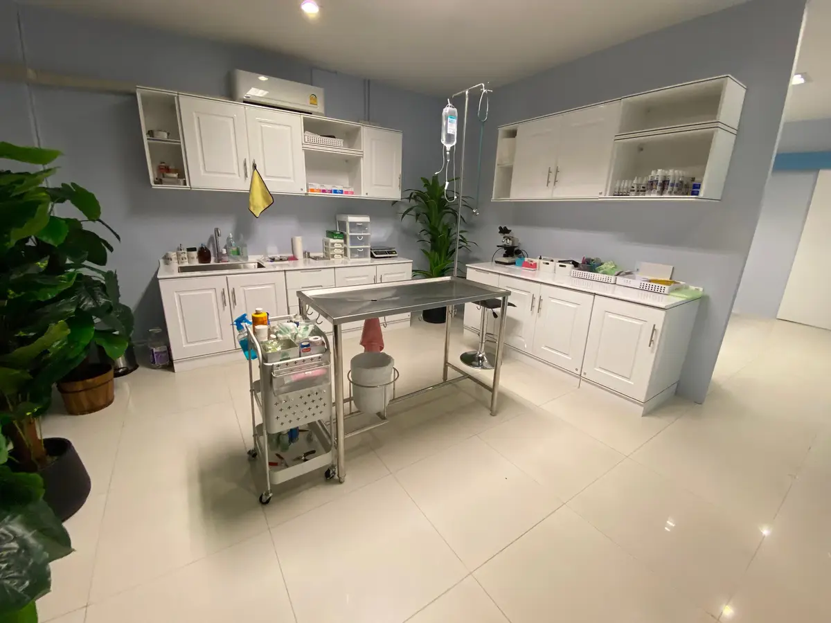 Clean vet treatment room with white cabinets, a steel table and a drip stand.