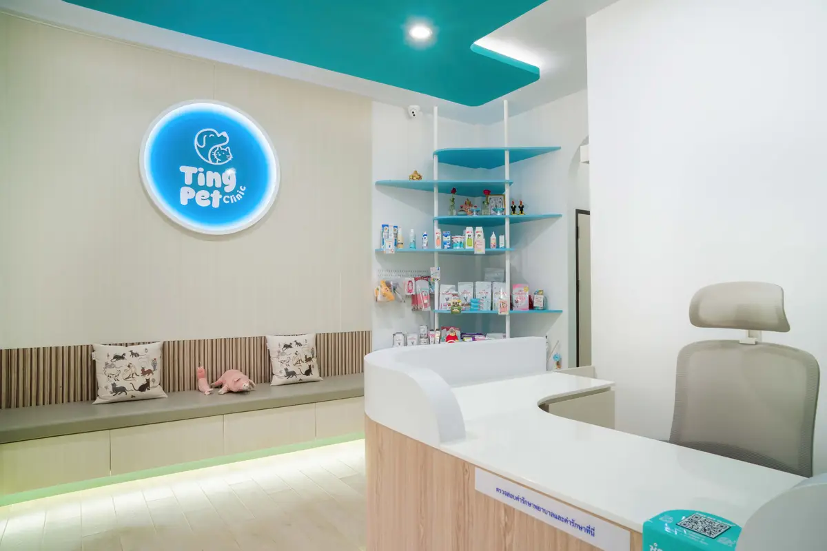 Pastel clinic reception with a round blue logo, a curved counter and wall shelves.