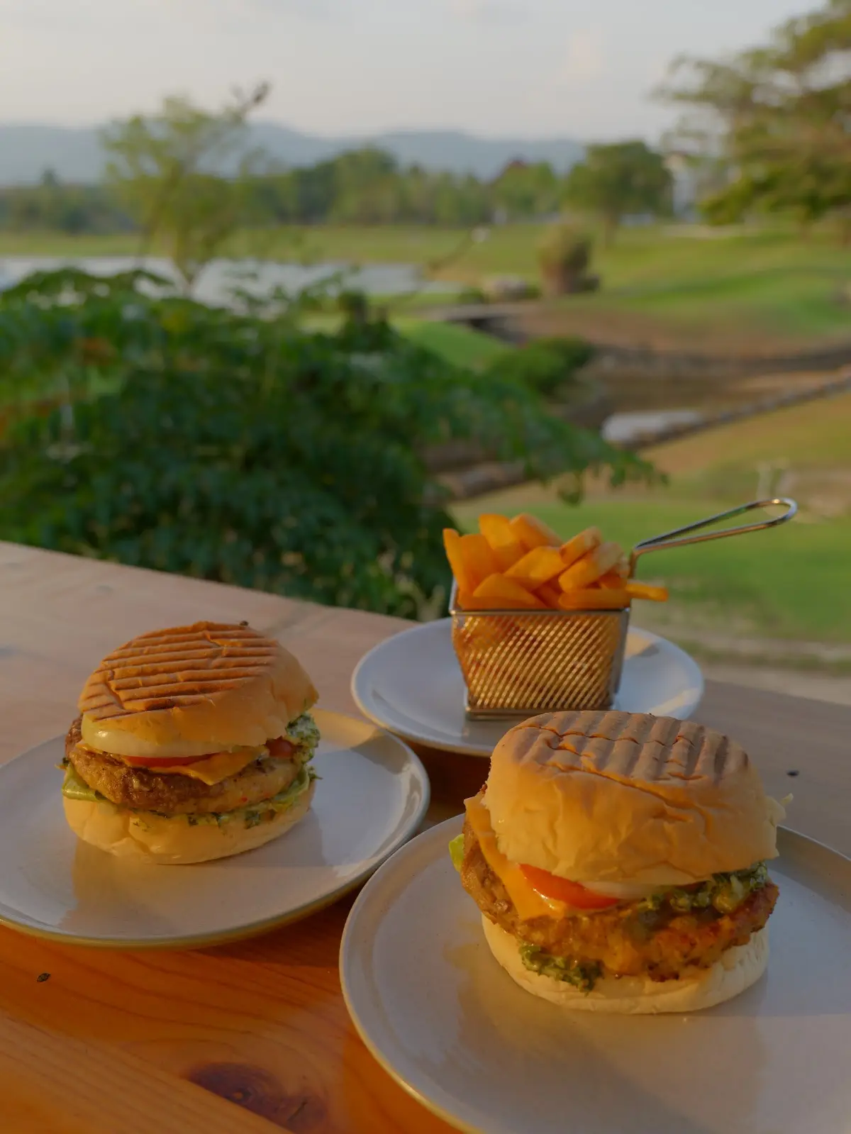 Two burgers and a basket of fries on a table with a green lawn behind.