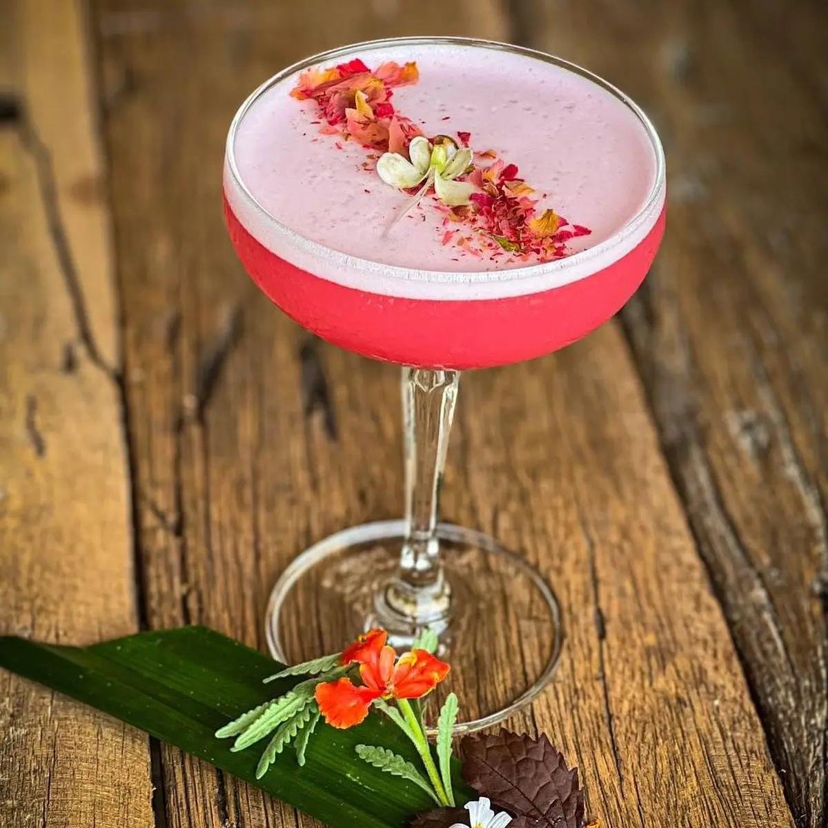 Pink cocktail in a coupe glass on a wooden table beside a green leaf.