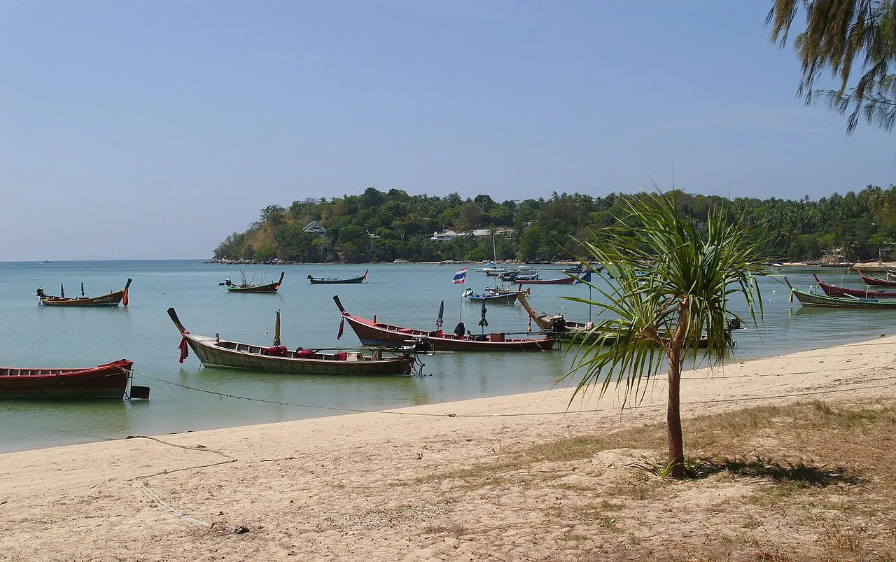 Wooden longtail boats moored in calm shallow water beside a sandy beach with a palm in the foreground and a wooded headland behind.
